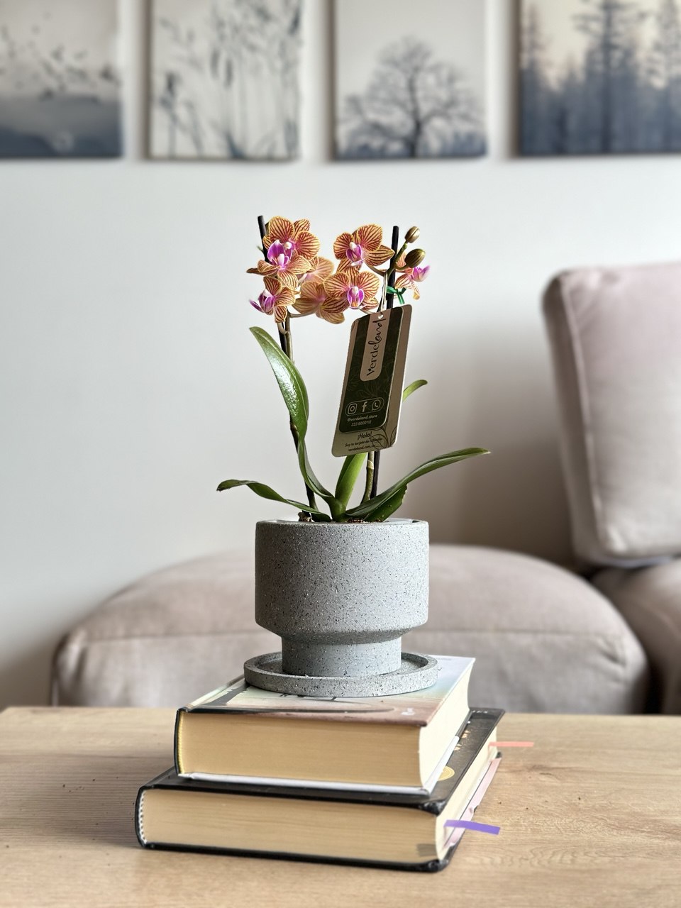 orquídeas