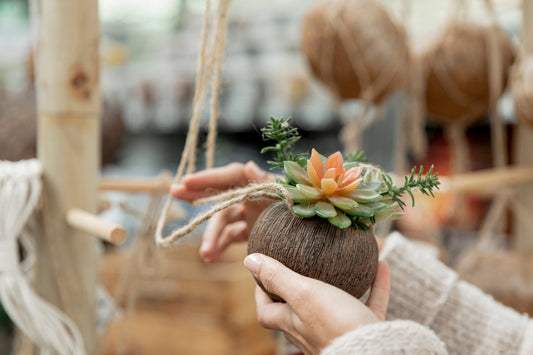 KOKEDAMAS : ARTE Y NATURALEZA